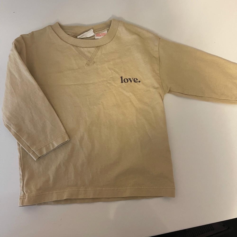 Zara LOVE shirt